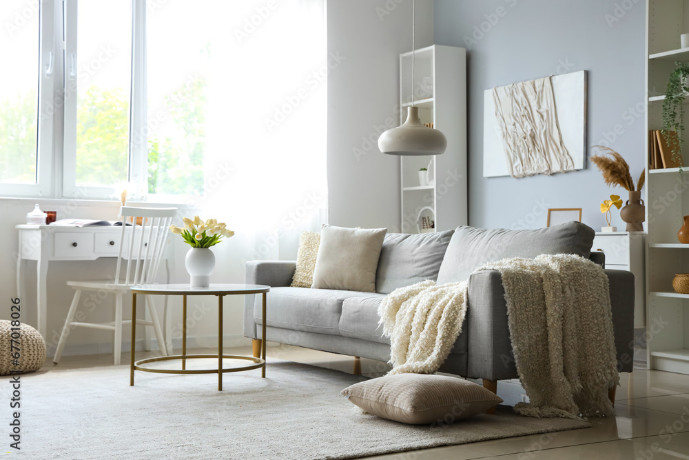 Cozy grey sofa with soft blanket and table in interior of light living room