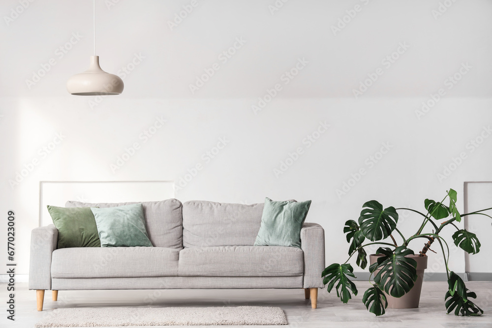 Interior of light living room with grey sofa, Monstera plant and lamp