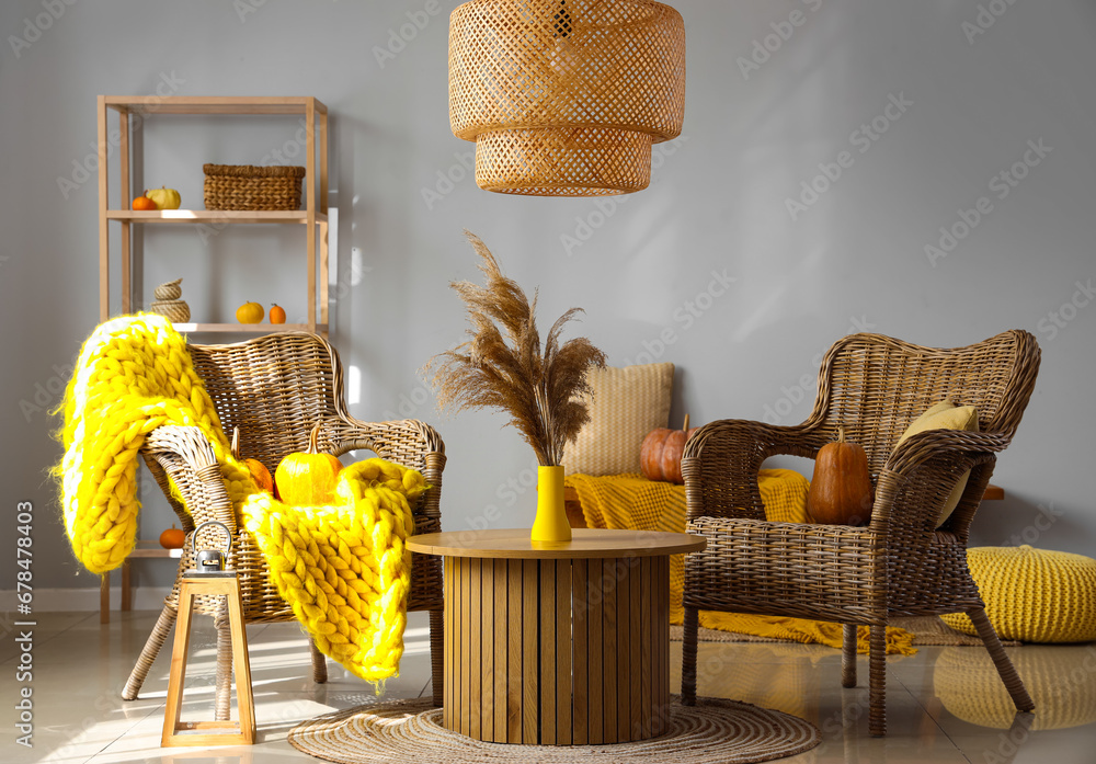 Autumn interior of living room with wicker armchairs, pumpkins and pampas grass on coffee table