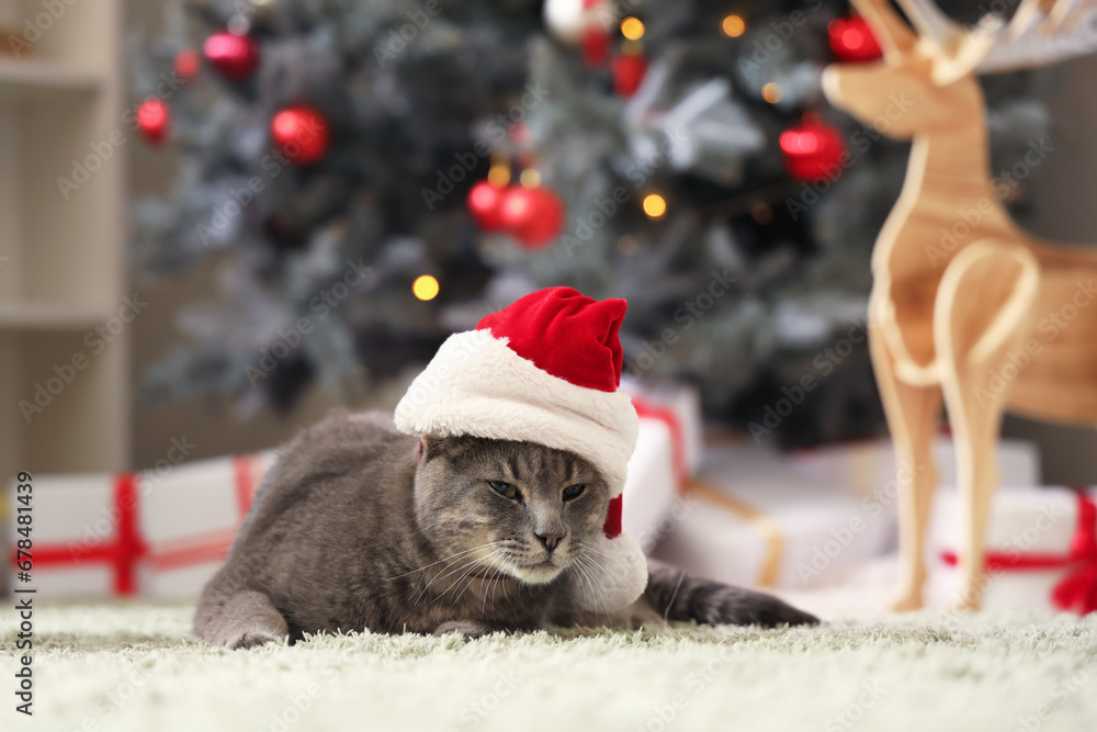 Cute cat in Santa hat at home on Christmas eve