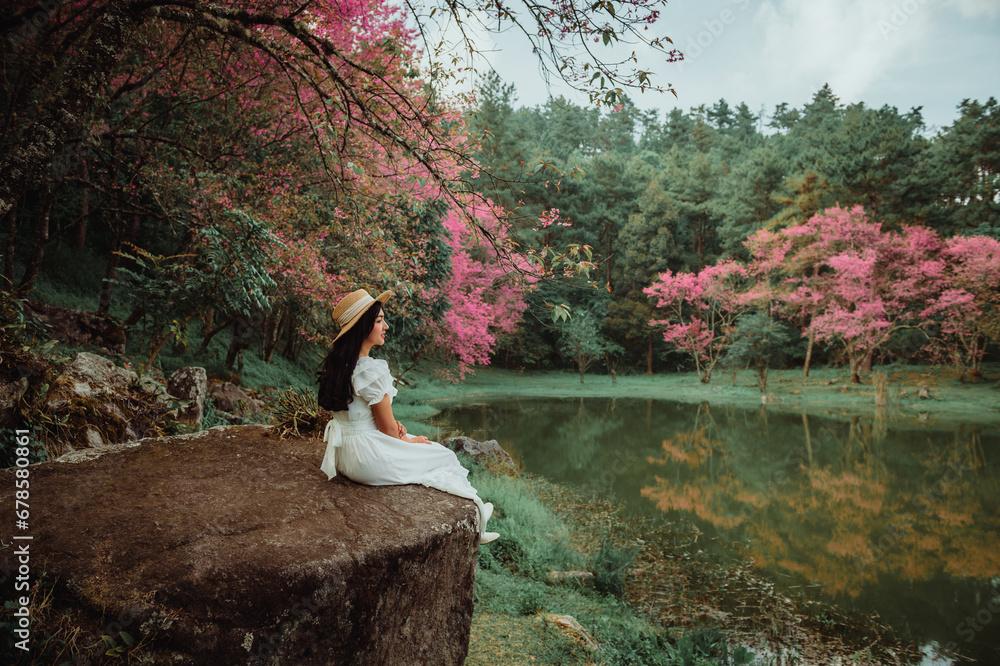 sakura flower and landscape