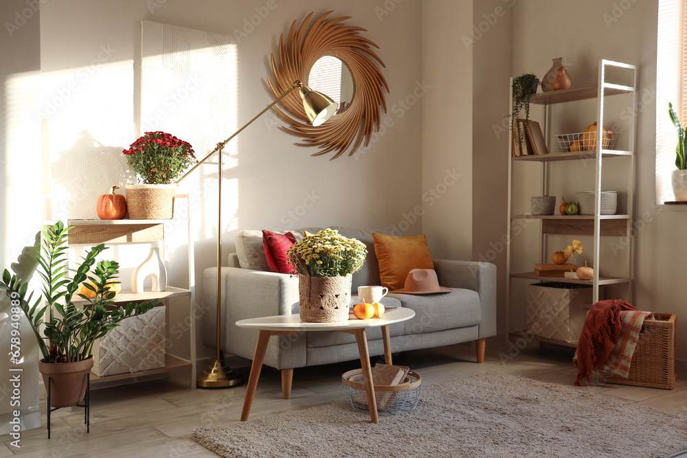 Interior of living room with chrysanthemum flowers, pumpkins and sofa