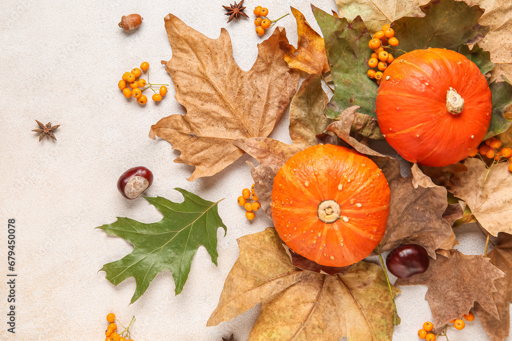 Autumn leaves with pumpkins, chestnuts and rowan on white background