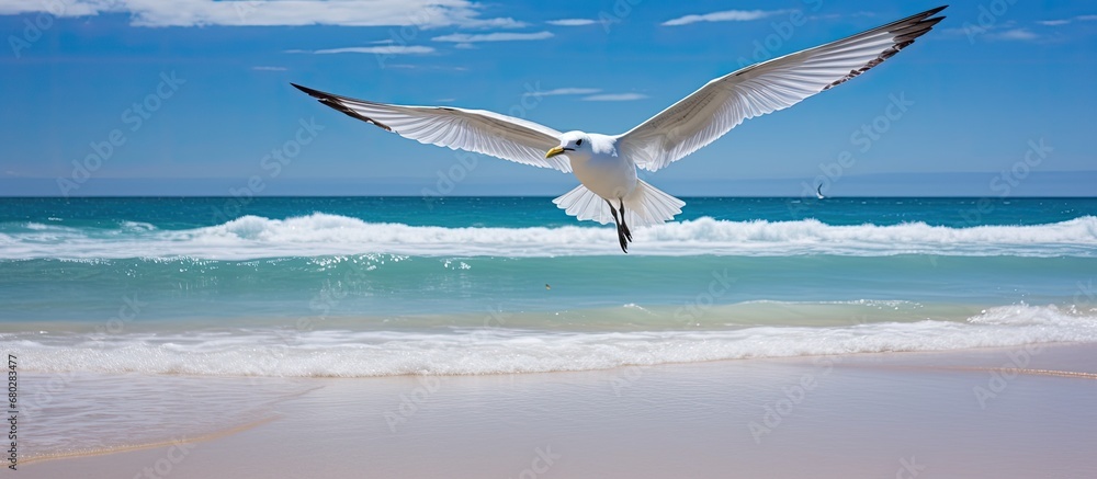 On a summer vacation at the beach, the third person observed the clear blue sky blending with the pristine white sand, as the sun shone brightly, casting a warm glow on the serene nature surrounding