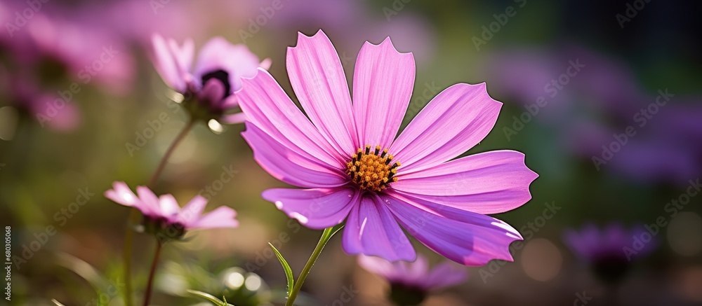 lush garden, a purple flower bloomed amidst the verdant backdrop, its delicate petals showcasing the beauty of nature in full bloom during spring, captivating the eye with its natural pink hue and