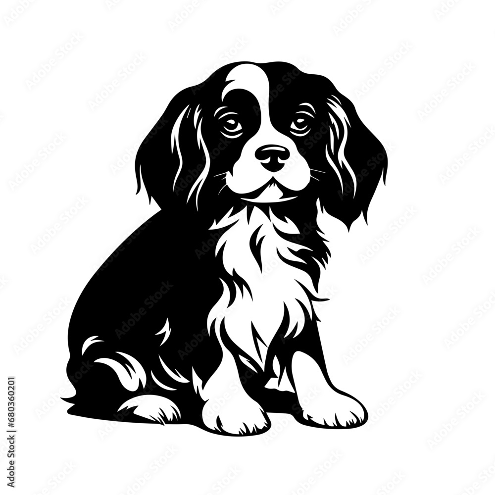 Cavalier King Charles Spaniel