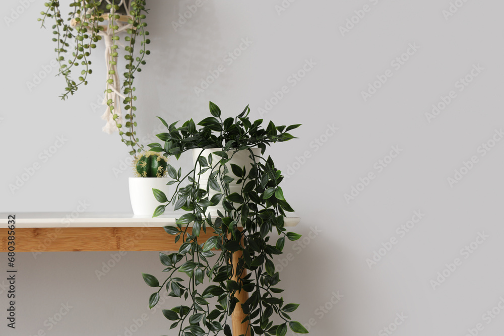 Console table with different houseplants near white wall