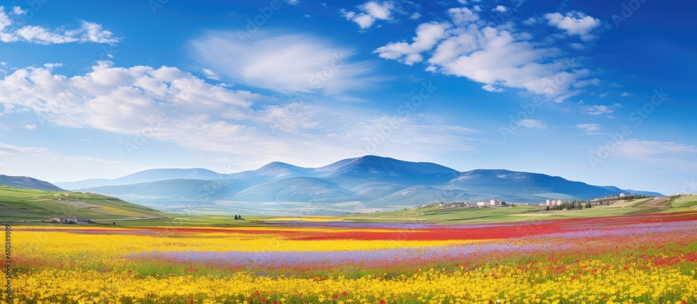 In the rural countryside of Castelluccio, Country, under the beautiful summer sky, the landscape is transformed into a breathtaking sight with blooming flowers covering the meadows and fields like a