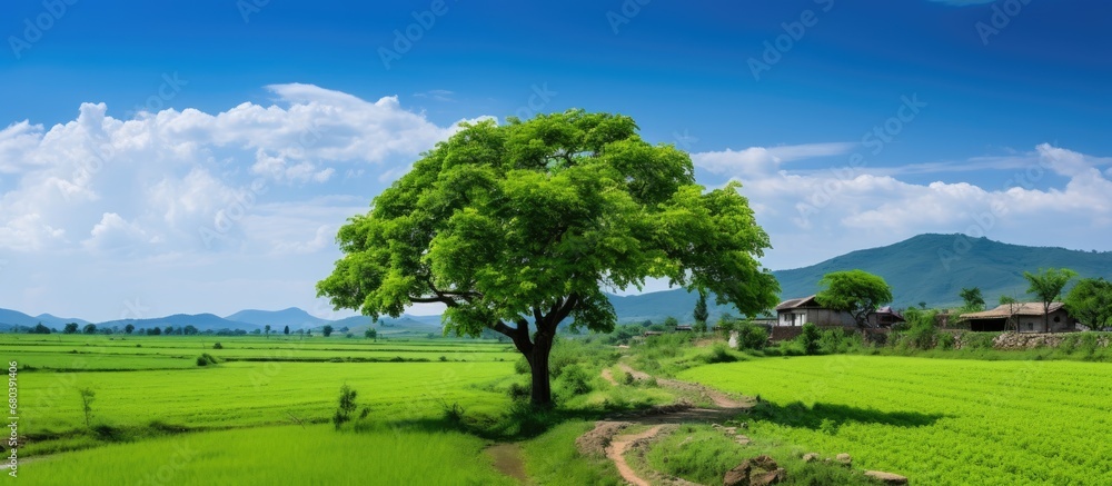 lush green garden, a young tree with vibrant leaves stood tall, symbolizing the growth and vitality of spring, while the surrounding fields showcased the thriving agriculture and harmonious