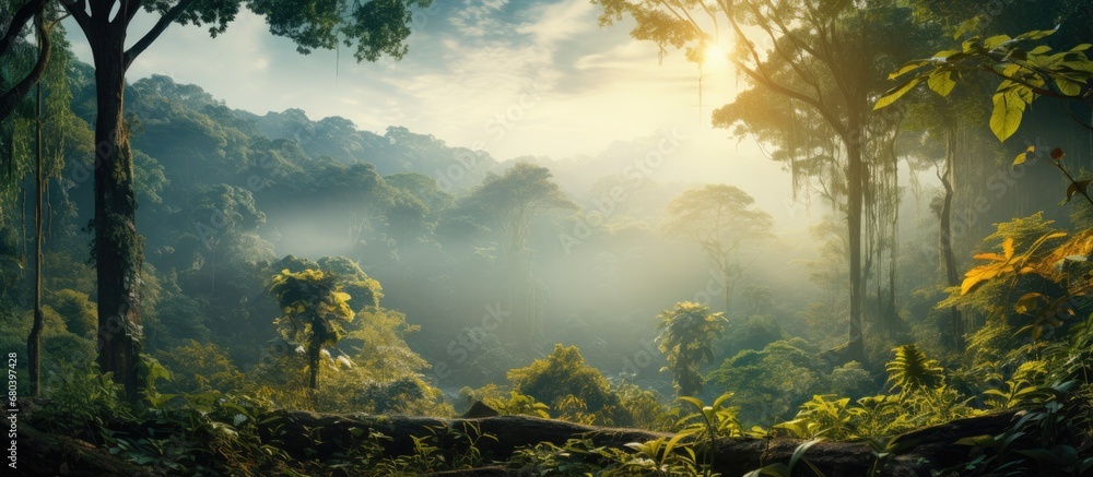 In the early morning light, the mist gently enveloped the landscape, revealing a mesmerizing scene of a tropical forest with towering green trees adorned with vibrant yellow foliage, creating a