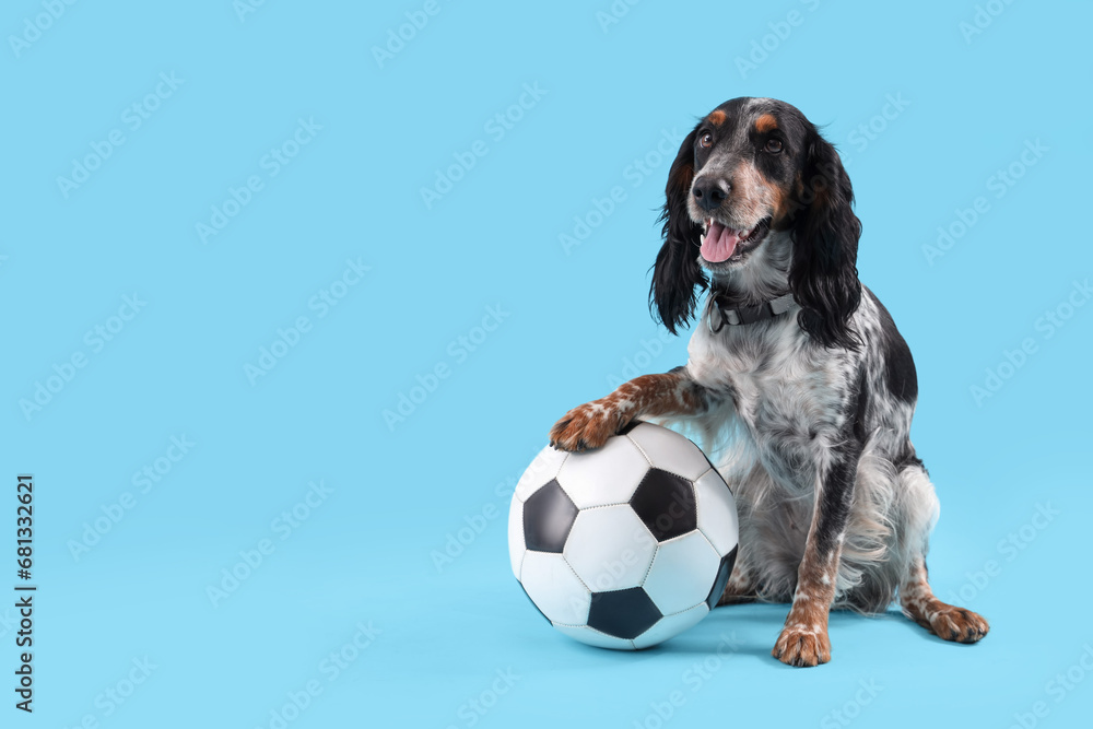 Cute cocker spaniel with soccer ball sitting on blue background