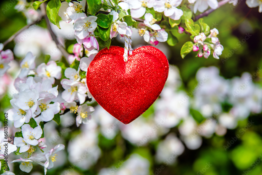 A symbol of love among the branches of a flowering apple 