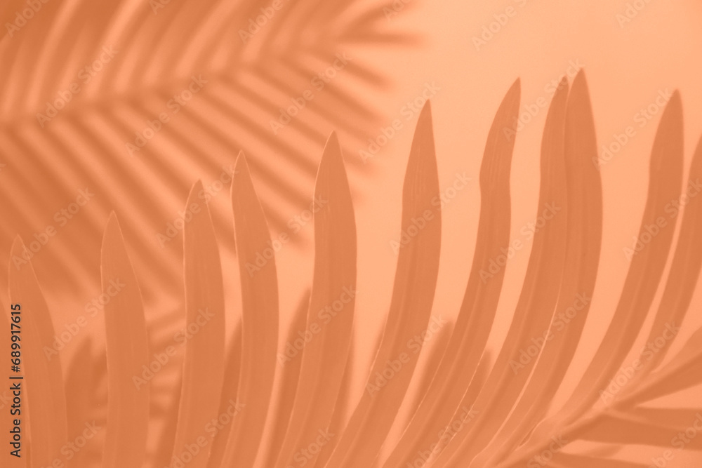 Shadow leaf dypsis on Peach Fuzz color wall. Peach Fuzz Pantone color of the year 2024. Monochrome b